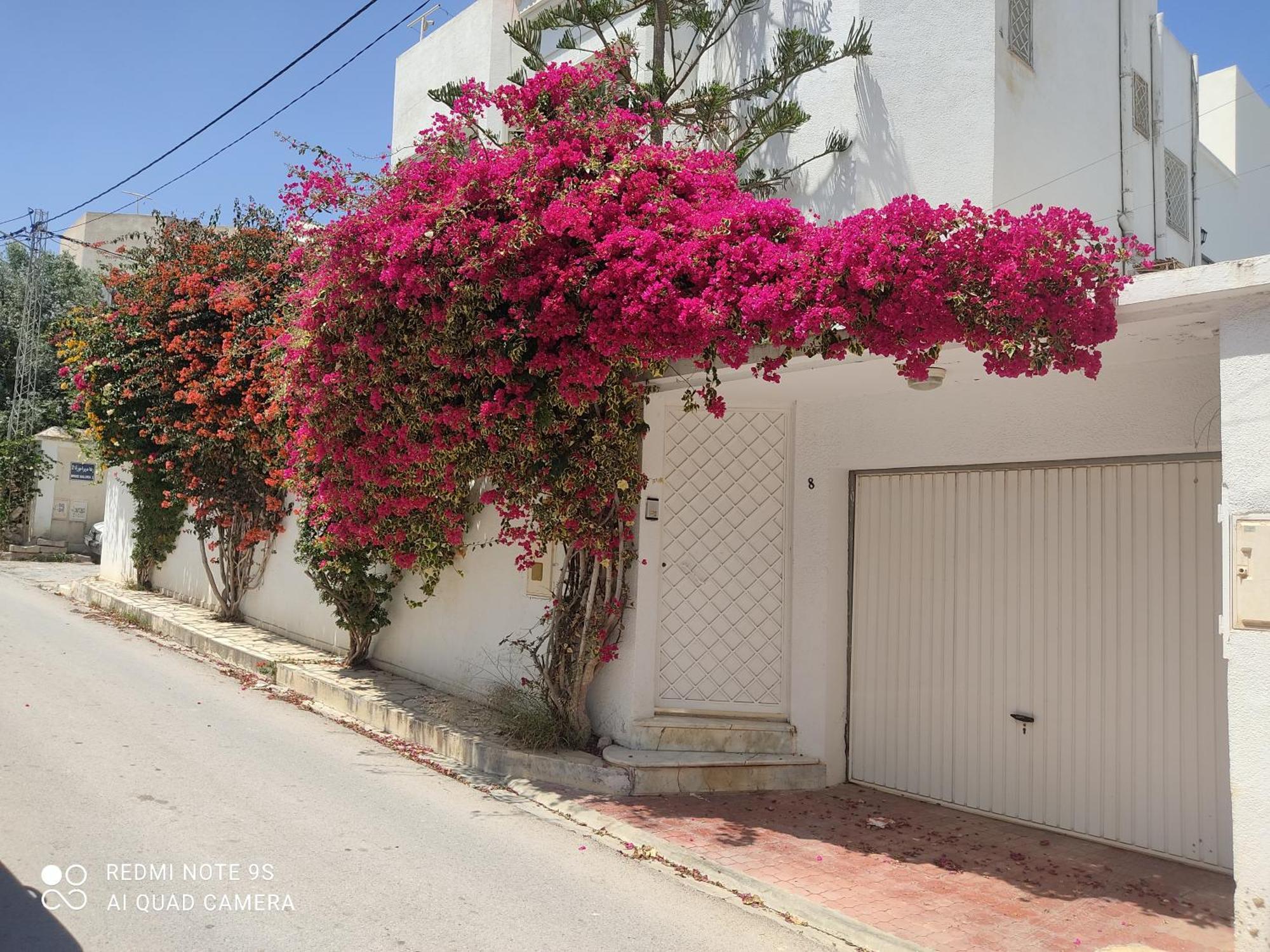 Etage De Villa Avec Jardin, Pres De L'Aireport Et Parking Prive Ariana Esterno foto