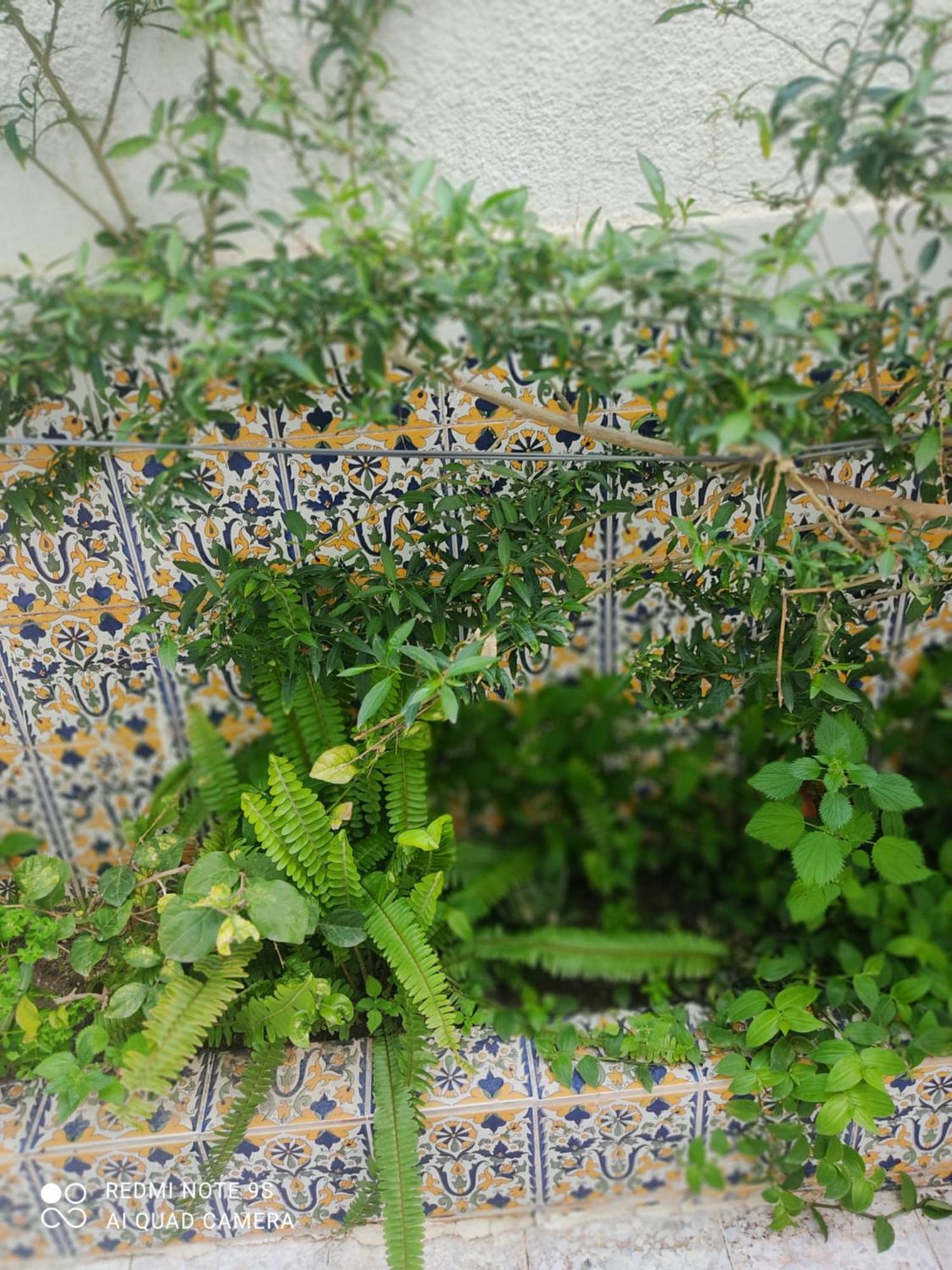 Etage De Villa Avec Jardin, Pres De L'Aireport Et Parking Prive Ariana Esterno foto